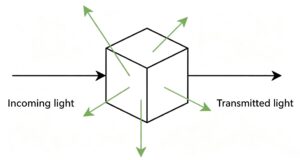 Schematic diagram of light scattering reallight