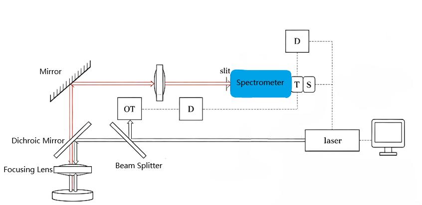 Schematic diagram of time-gated Raman system